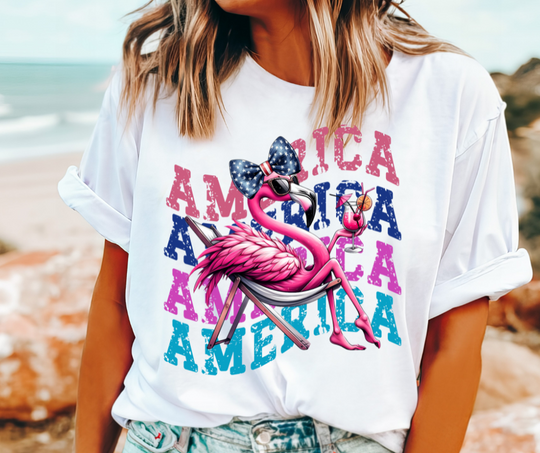 America Flamingo